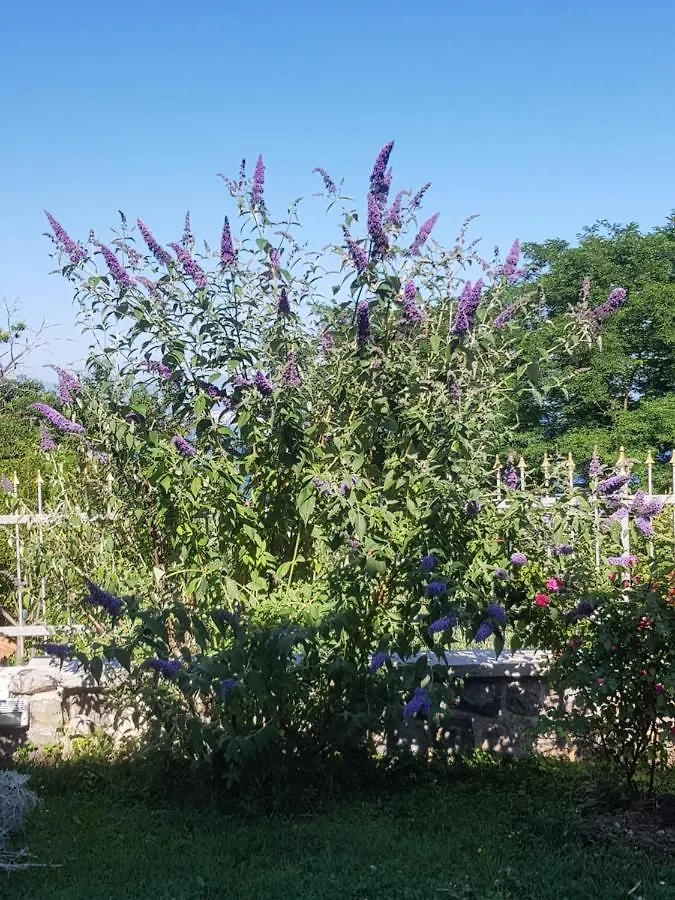 Apartmani Adria Οπατία